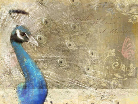 Peacock Royal Black Ornate Wood Framed Art Print with Double Matting by Allen, Kimberly