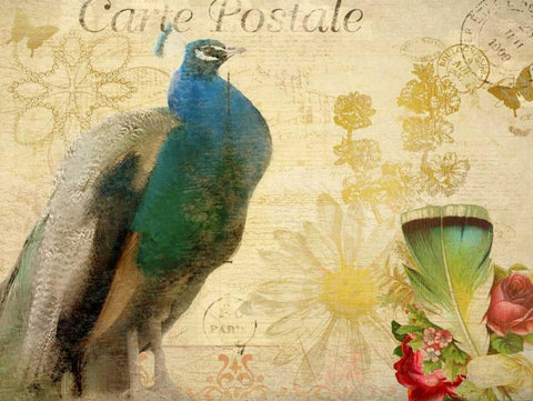 Postcard Peacock White Modern Wood Framed Art Print with Double Matting by Allen, Kimberly