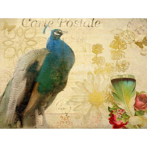 Postcard Peacock Black Modern Wood Framed Art Print by Allen, Kimberly