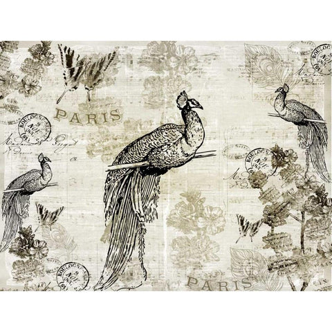 Music Notes Peacocks White Modern Wood Framed Art Print by Allen, Kimberly