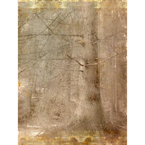 In the Forest Black Modern Wood Framed Art Print by Allen, Kimberly