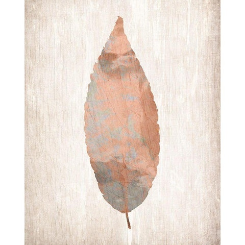 Leaf Print 1 Black Modern Wood Framed Art Print with Double Matting by Kimberly, Allen