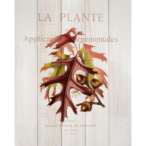 Fall Botanical 2 White Modern Wood Framed Art Print by Kimberly, Allen