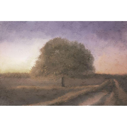 Fall Dusk Black Modern Wood Framed Art Print with Double Matting by Kimberly, Allen
