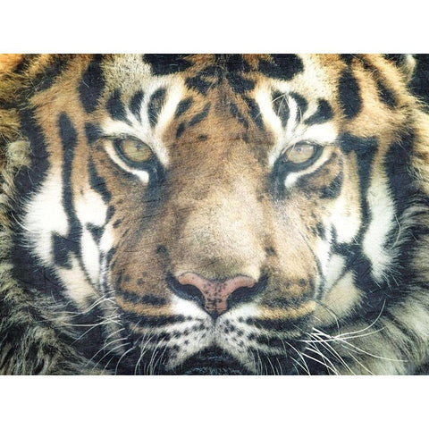 Focus Black Modern Wood Framed Art Print with Double Matting by Kimberly, Allen