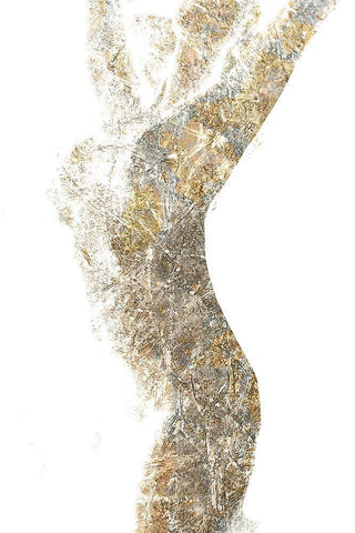 Silver Silhouette 2 White Modern Wood Framed Art Print with Double Matting by Kimberly, Allen