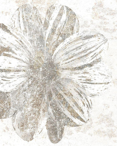 Silver Blooms 1 White Modern Wood Framed Art Print with Double Matting by Kimberly, Allen