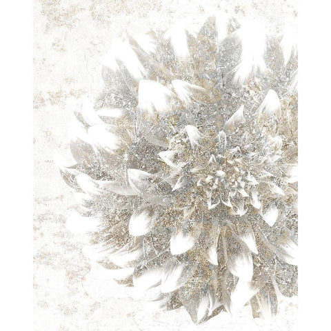 Silver Blooms 2 Black Modern Wood Framed Art Print with Double Matting by Kimberly, Allen