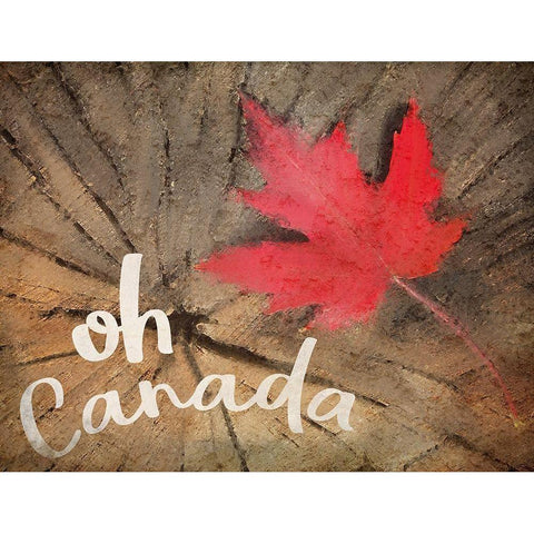 Oh Canada Black Modern Wood Framed Art Print with Double Matting by Kimberly, Allen