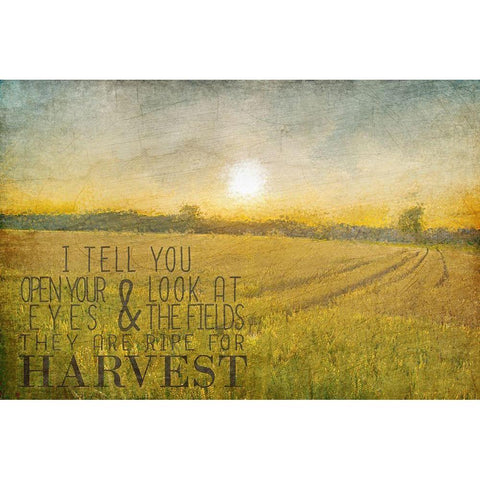 Already to Harvest Black Modern Wood Framed Art Print by Kimberly, Allen