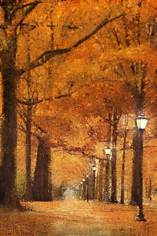 Autumn Path White Modern Wood Framed Art Print with Double Matting by Kimberly, Allen