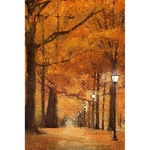 Autumn Path White Modern Wood Framed Art Print by Kimberly, Allen