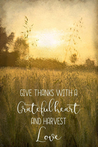 Grateful Heart White Modern Wood Framed Art Print with Double Matting by Kimberly, Allen