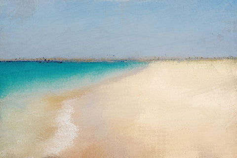 Coastal Horizon Black Ornate Wood Framed Art Print with Double Matting by Kimberly, Allen