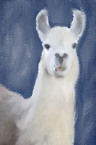 Llama on Navy Black Ornate Wood Framed Art Print with Double Matting by Kimberly, Allen