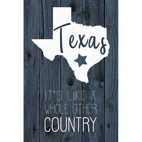 Texas Country White Modern Wood Framed Art Print by Kimberly, Allen