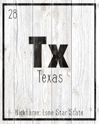 TX White Modern Wood Framed Art Print with Double Matting by Kimberly, Allen