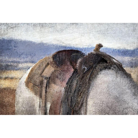 In The Saddle White Modern Wood Framed Art Print by Kimberly, Allen