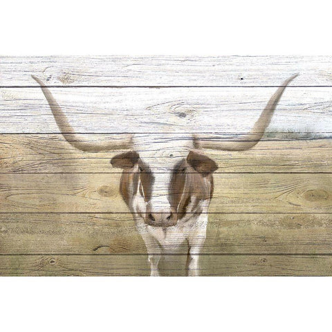 Longhorn Black Modern Wood Framed Art Print with Double Matting by Kimberly, Allen