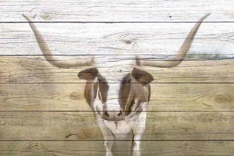 Longhorn Black Ornate Wood Framed Art Print with Double Matting by Kimberly, Allen