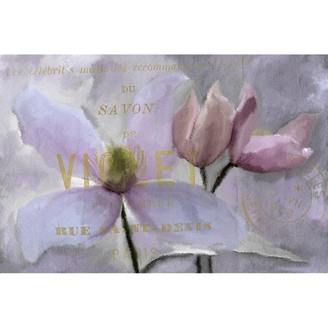 Violet Paris White Modern Wood Framed Art Print by Allen, Kimberly