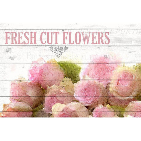 Fresh Cut Flowers White Modern Wood Framed Art Print by Kimberly, Allen