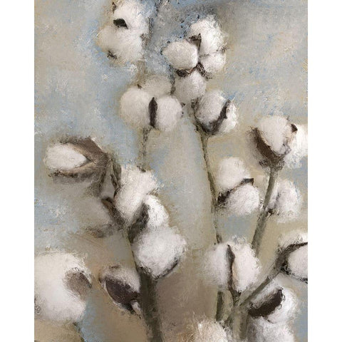 Sprays of Cotton 1 Black Modern Wood Framed Art Print with Double Matting by Kimberly, Allen