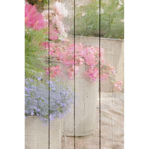 In the Garden Black Modern Wood Framed Art Print by Kimberly, Allen