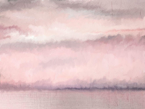 Blush Sky Black Ornate Wood Framed Art Print with Double Matting by Kimberly, Allen
