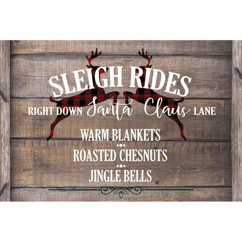 Sleigh Rides 2 Black Modern Wood Framed Art Print with Double Matting by Kimberly, Allen