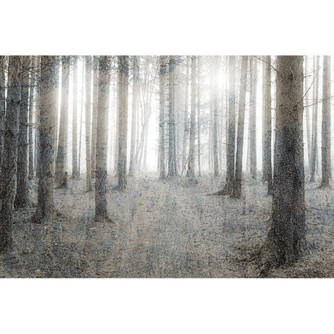 Forest Dream White Modern Wood Framed Art Print by Kimberly, Allen