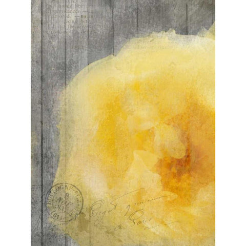 Yellow Bloom Black Modern Wood Framed Art Print with Double Matting by Allen, Kimberly