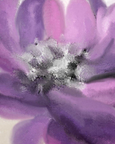 Blooming Purple 1 White Modern Wood Framed Art Print with Double Matting by Allen, Kimberly