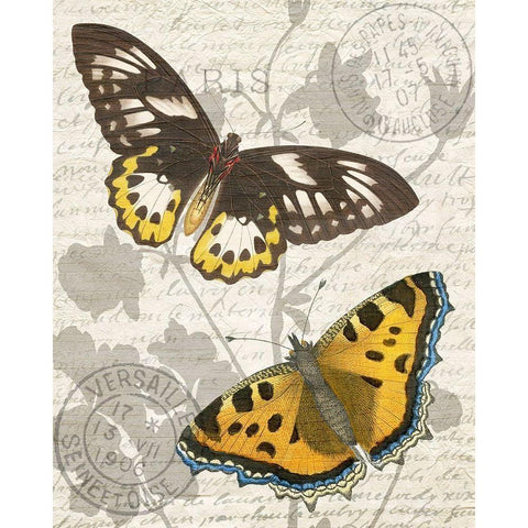 Butterfly Travel 1 Black Modern Wood Framed Art Print with Double Matting by Kimberly, Allen