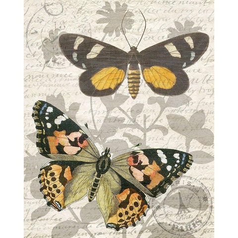 Butterfly Travel 2 Gold Ornate Wood Framed Art Print with Double Matting by Kimberly, Allen