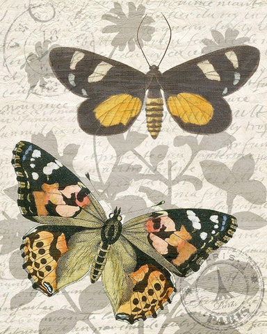 Butterfly Travel 2 White Modern Wood Framed Art Print with Double Matting by Kimberly, Allen