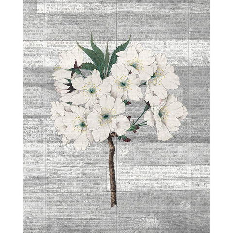 Cherry Blossom 2 Gold Ornate Wood Framed Art Print with Double Matting by Kimberly, Allen