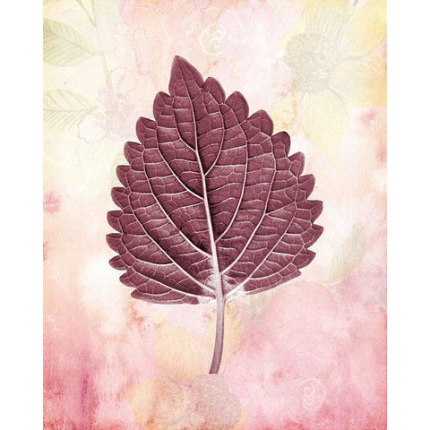 Burgundy Leaf 1 White Modern Wood Framed Art Print by Kimberly, Allen