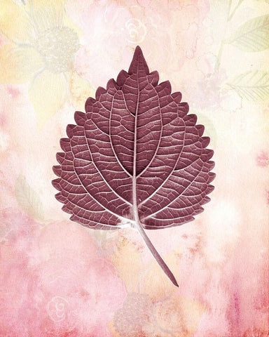 Burgundy Leaf 2 White Modern Wood Framed Art Print with Double Matting by Kimberly, Allen