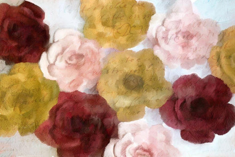 Burgandy Bloom White Modern Wood Framed Art Print with Double Matting by Kimberly, Allen