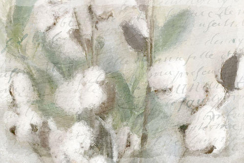 Cotton B White Modern Wood Framed Art Print with Double Matting by Kimberly, Allen