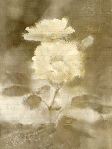Early Blooming White Modern Wood Framed Art Print with Double Matting by Allen, Kimberly