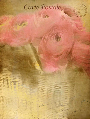 Blooming Basket White Modern Wood Framed Art Print with Double Matting by Allen, Kimberly
