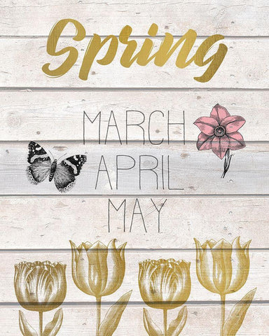 The Seasons 2 White Modern Wood Framed Art Print with Double Matting by Kimberly, Allen