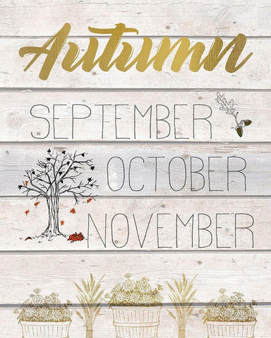 The Seasons 4 White Modern Wood Framed Art Print with Double Matting by Kimberly, Allen