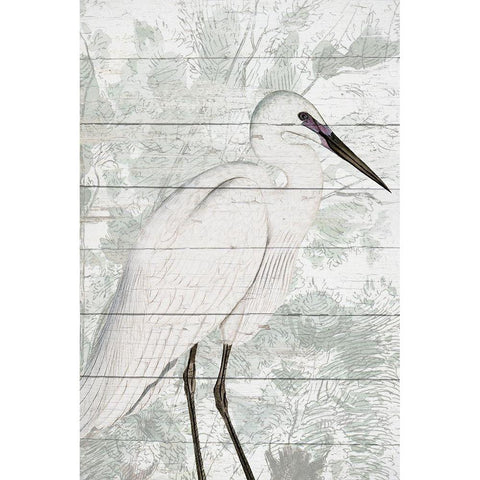 On the Shore 1 Black Modern Wood Framed Art Print with Double Matting by Kimberly, Allen