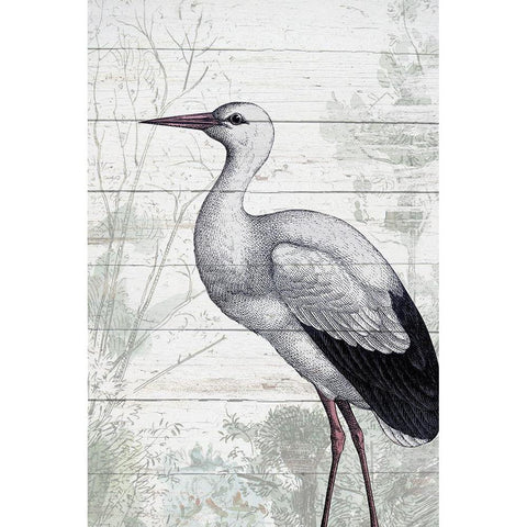 On the Shore 2 White Modern Wood Framed Art Print by Kimberly, Allen