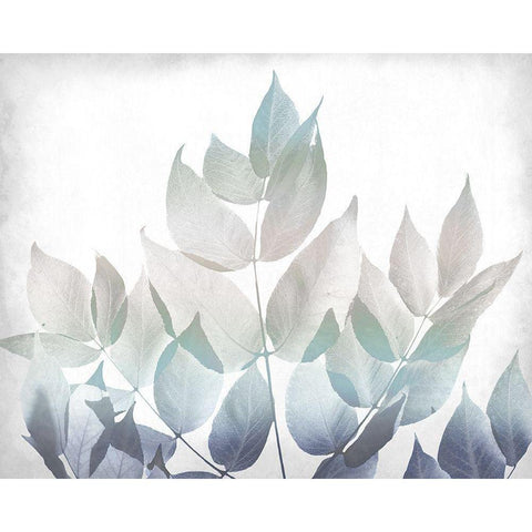 Antiqued Leaves 1 v2 Black Modern Wood Framed Art Print with Double Matting by Kimberly, Allen