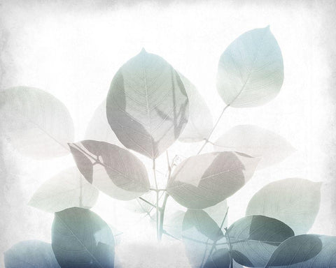 Antiqued Leaves 2 v2 White Modern Wood Framed Art Print with Double Matting by Kimberly, Allen
