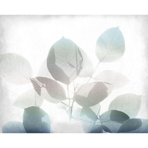 Antiqued Leaves 2 v2 Black Modern Wood Framed Art Print by Kimberly, Allen